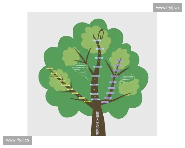 剪辑零基础也能快速入门的新手系统指南与完整实操全方位成长路径